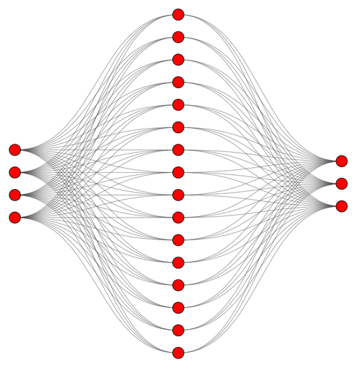 Network